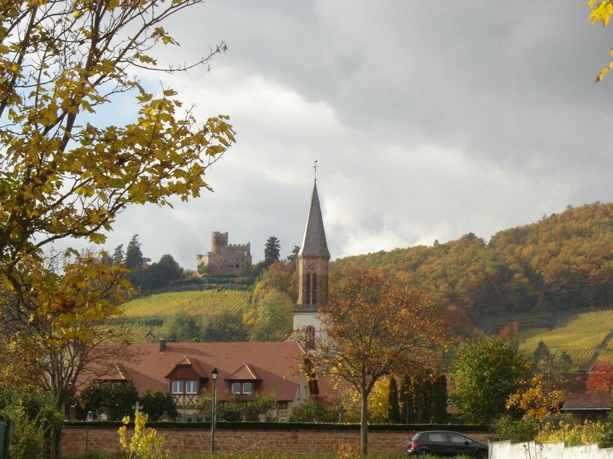 Au Coeur D'Alsace Chambres D'Hotes Kintzheim Eksteriør billede